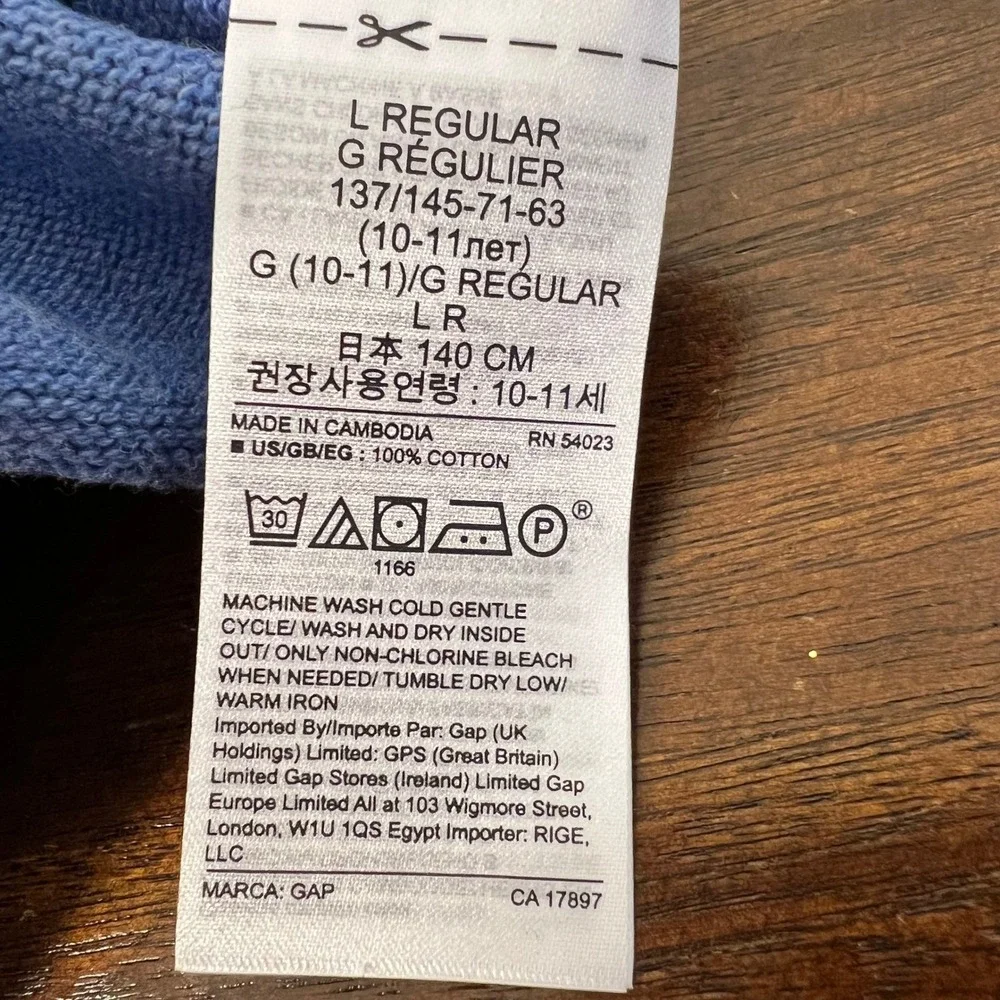 GAP Kids Blue V-Neck Sweater